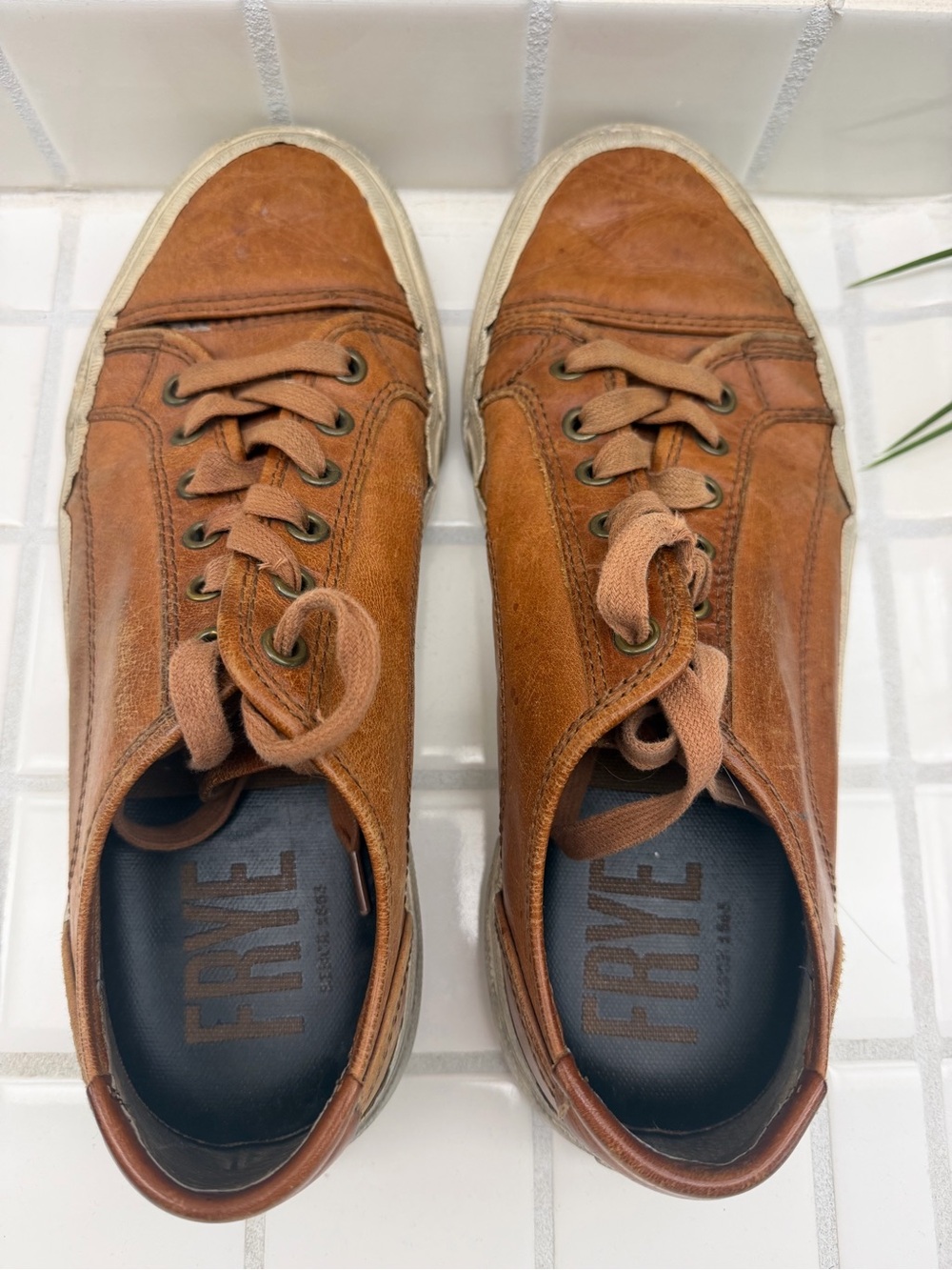 Frye Chambers Low Men’s Brown Leather Sneakers